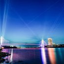 빛의 숲 이미지