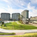 라카이샌드파인 이미지