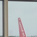 인천 to 일본 도쿄 나리타행 이스타항공 ZE603, B737-800 탑승후기