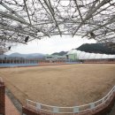 안성면100 이미지