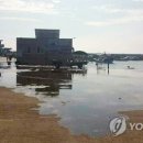 해안물양장 이미지