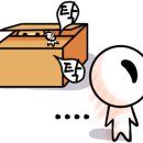 삼층고양이 이미지