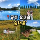너울 | [숲너울] 공주 대형카페 대전근교 애견동반가능한 감성카페,숲너울 후기(내돈내산)