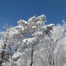 2015.02.14 (토) 칼바람, 설화,,상고대,,,百聞이 不如一見이라,,,,겨울눈꽃산행의 대명사,,,,,단양 소백산 이미지