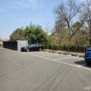 퍼피펜트하우스 | 일산 애견동반 카페 퍼피펜트하우스, 방문 후기