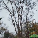 매여울생태공원 이미지