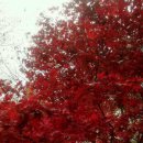 대구면사무소 이미지