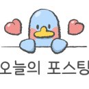 1001숲 이미지