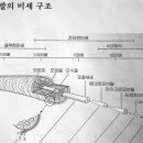 이정미용실 - 장흥군 | 이정미용실