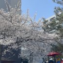 구)나주역 | 27년만에 이사는 맥시멀도 미니멀리스트로 바꿔준다｜나주역자이리버파크 24평 이사 벼락치기 후기