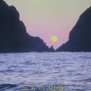 독도코리아 이미지