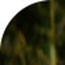 365상쾌한속연합내과의원 이미지