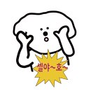 셀독풍암점 이미지
