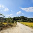 부용공인중개사사무소 이미지