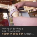 싸다고 아이스크림 네이버블로그