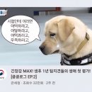 킁킁