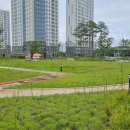 (주)예스부동산중개법인 이미지