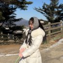 종일목장 | 대관령 순수 양떼목장 내돈내산 후기 추천!🐑