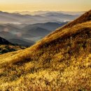 은빛축산 이미지