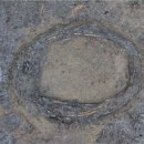 광주 신창동 유적 이미지