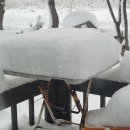 수백농장 이미지