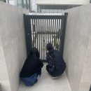 네발친구 이미지