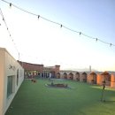 고래미 캠핑바베큐 | 울산 야외 감성 바베큐 애견 동반 가능한 고래미캠핑바베큐 방문 후기