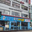 도서관에 온 거북이 로봇 | 당곡역 독립서점 엉금책방, 독서모임 가능한 거북이 북카페