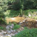 호수길133 이미지