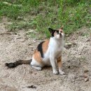 광짬뽕(光짬뽕) | 강릉 1박 2일 일정 소개 ^^