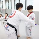 즐거운세종태권도장 | 동구 태권도 선택 포인트, 즐거운 세종태권도장 안내