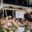 더피우리 이미지