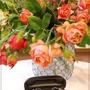 이화보청기 이미지