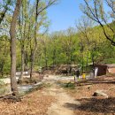 코스오토 이미지