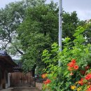 대곡민박 이미지