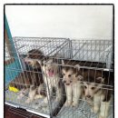 동삼1동-24 이미지