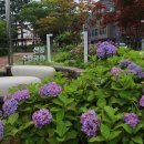 신동수변 이미지