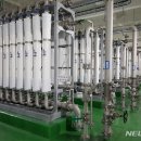 애월이막 이미지