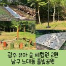 풀빛공원 유아숲체험원 이미지