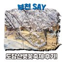 부천시 기자단이 다녀온 도당산 벚꽃축제 후기🌸