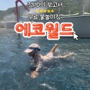 광산구-059 | [경험보고서] 문경 에코월드 후기 이렇게 돌아보세요! 관람 순서부터 물놀이까지