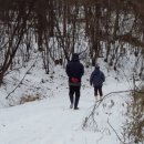 숲고을농장 이미지