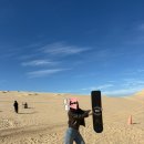 돌고래하우스 | 호주 시드니 풀코스 내돈내산 지그재그 투어 후기, 포트스테판 오크베일동물원 돌고래와칭 와이너리