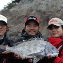 털보민박 이미지