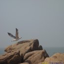 선녀바위-선착장 이미지