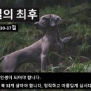 250131 이세벨의 최후 열왕기하9장30-37 이미지