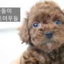 나들목 농장2 네이버블로그