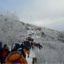 ◐ 제318차 강원도 "태백산" 정기산행(눈꽃산행) ◑ 이미지