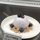 제주 서귀포 중문 카페 오놀 유기농 우유 빙수 맛집! 망고, 우도땅콩 존맛 후기