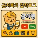 춤추는 바다분수 | 목포 평화광장 분수쇼| 여름 밤바다 야경 명소 다녀온 후기